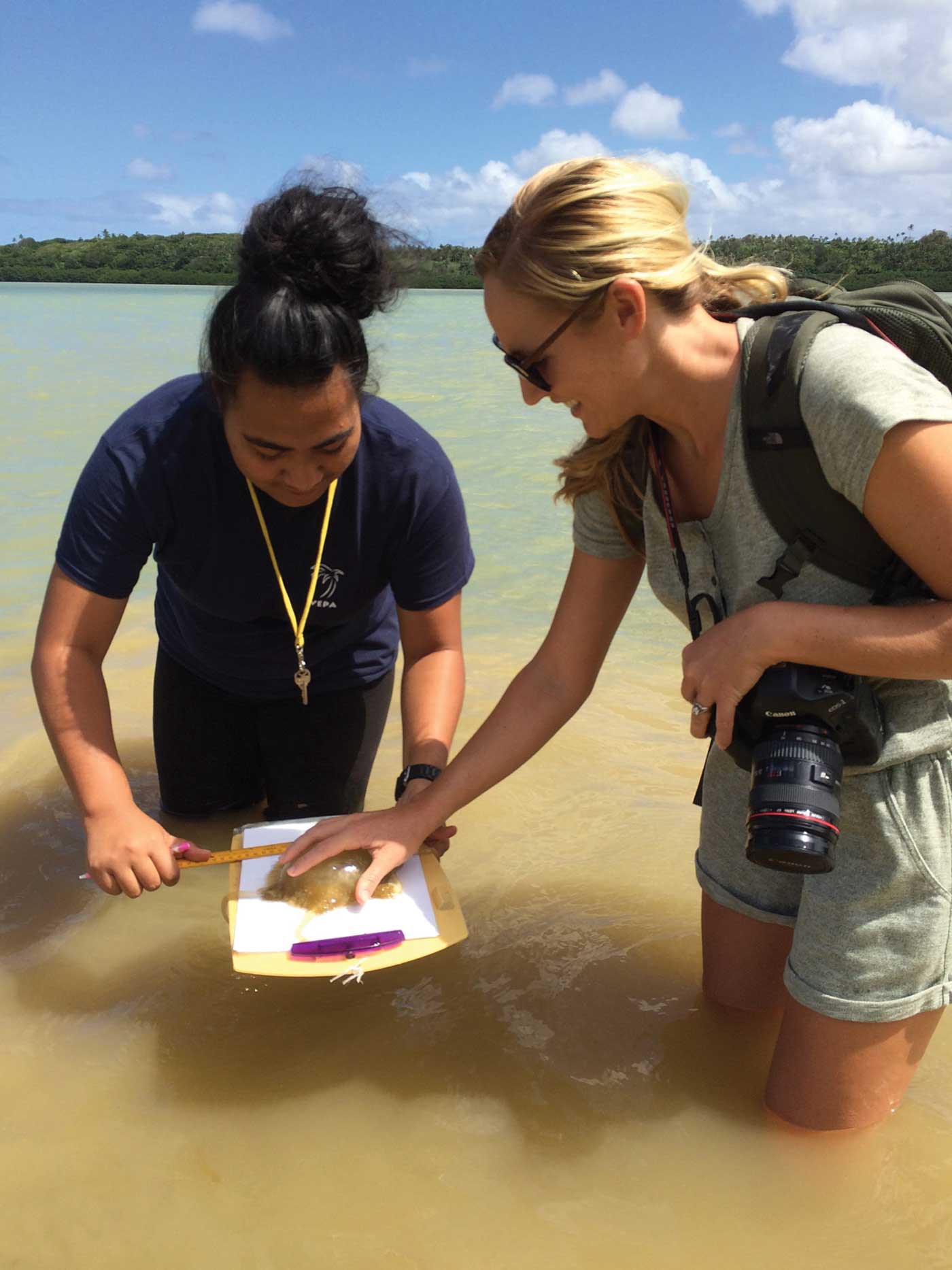 Swanson is standing with another woman, knee-deep in muddy water. The woman holds out a clipboard and a rule. She is measuring a slimy brown creature Swanson has her hand over, holding it to the board.